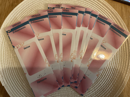 Lot de 12 intercalaires «Mois » pour budget planner format A5