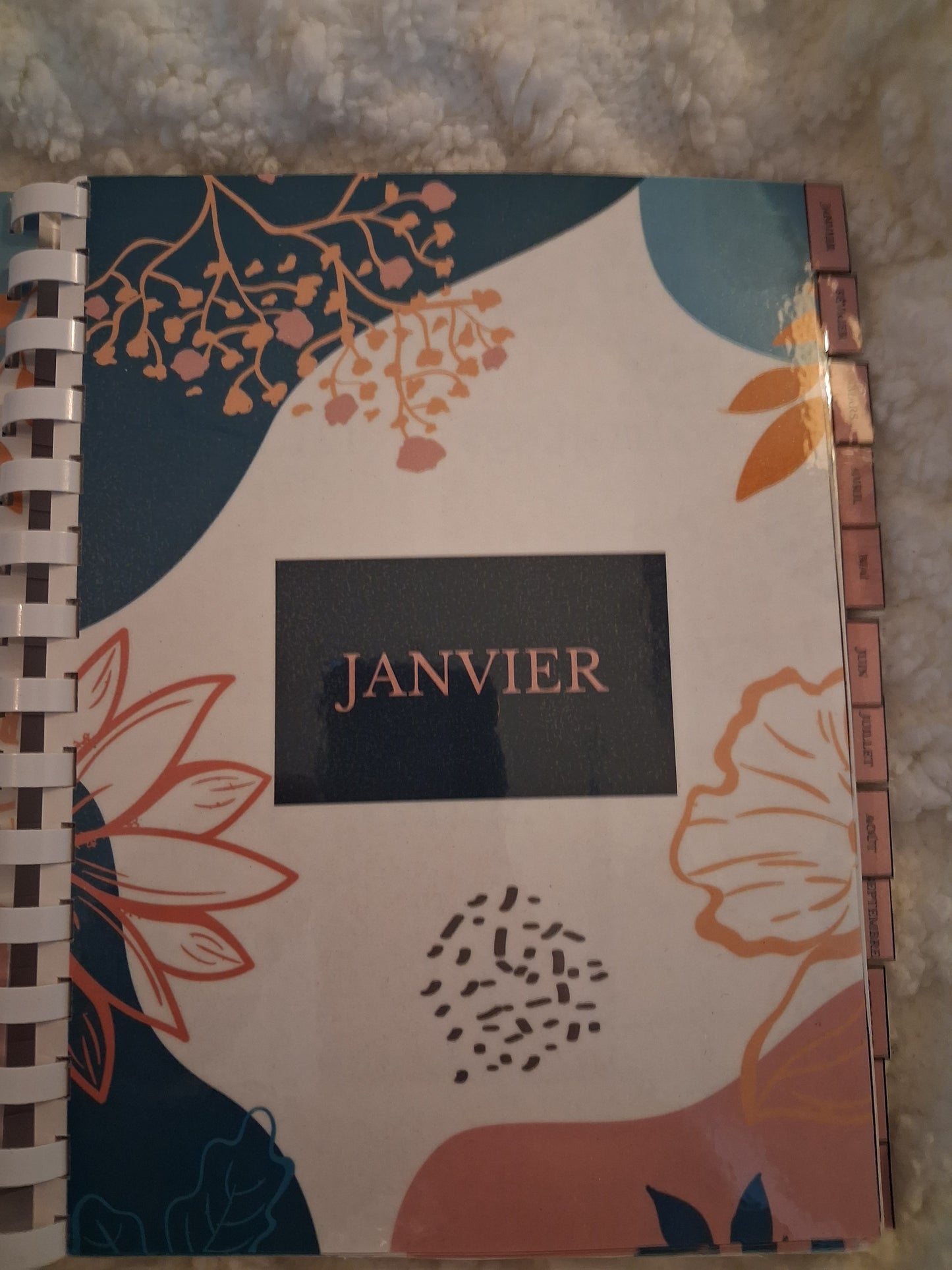 Budget planner de l'année complet , relié