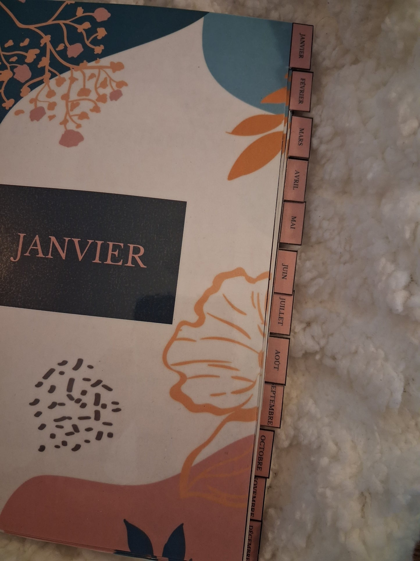 Budget planner de l'année complet , relié