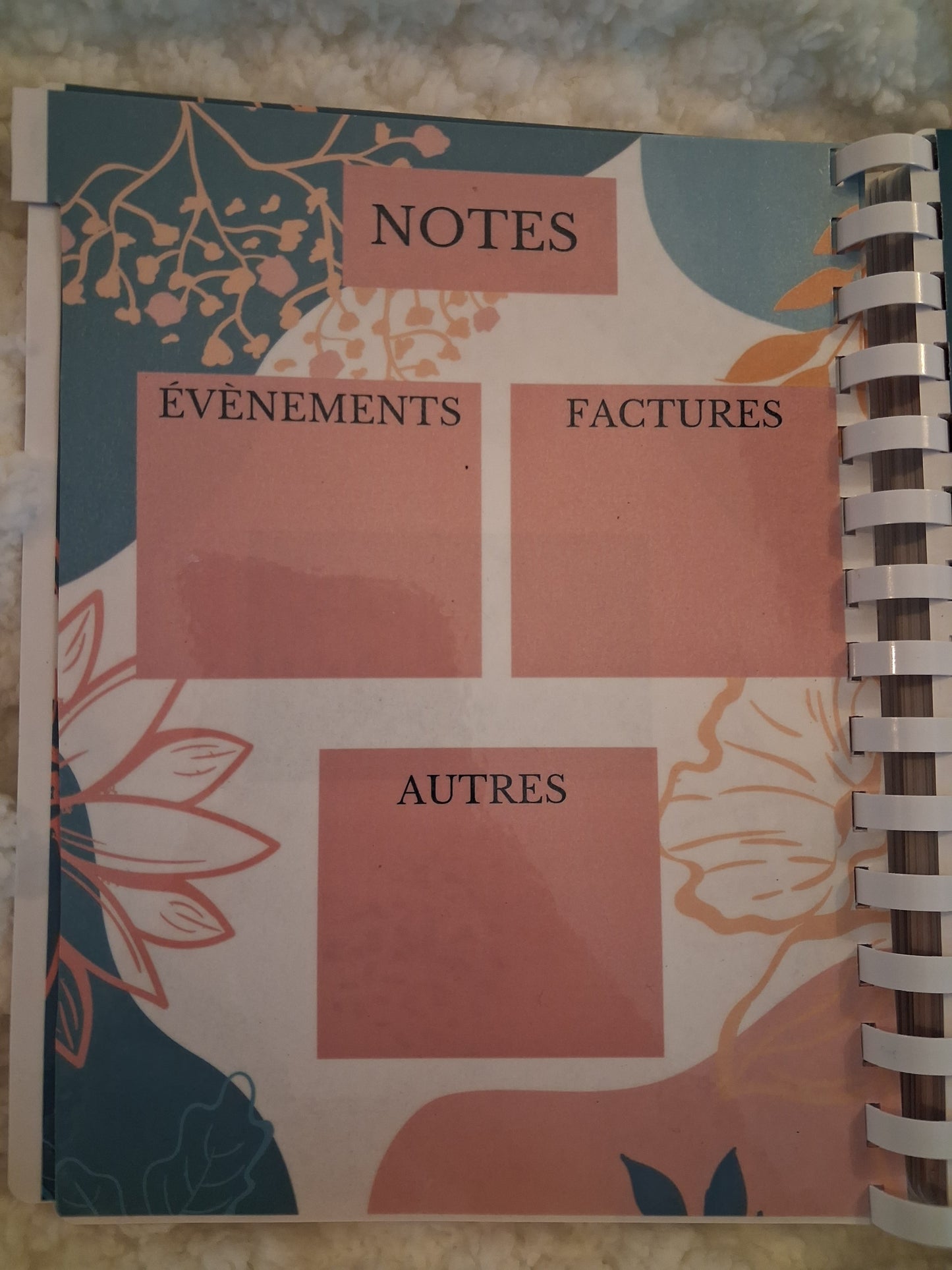 Budget planner de l'année complet , relié