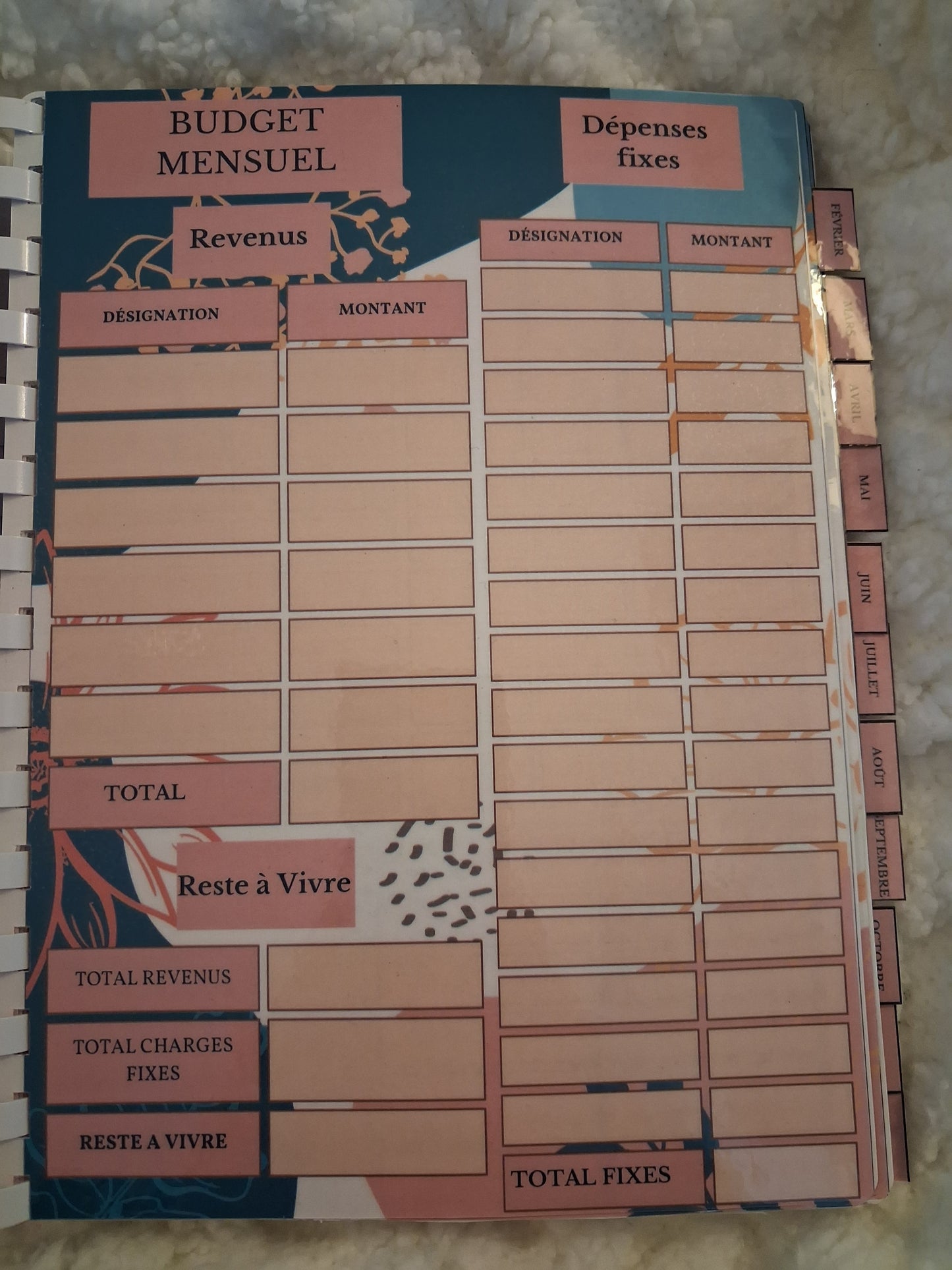 Budget planner de l'année complet , relié