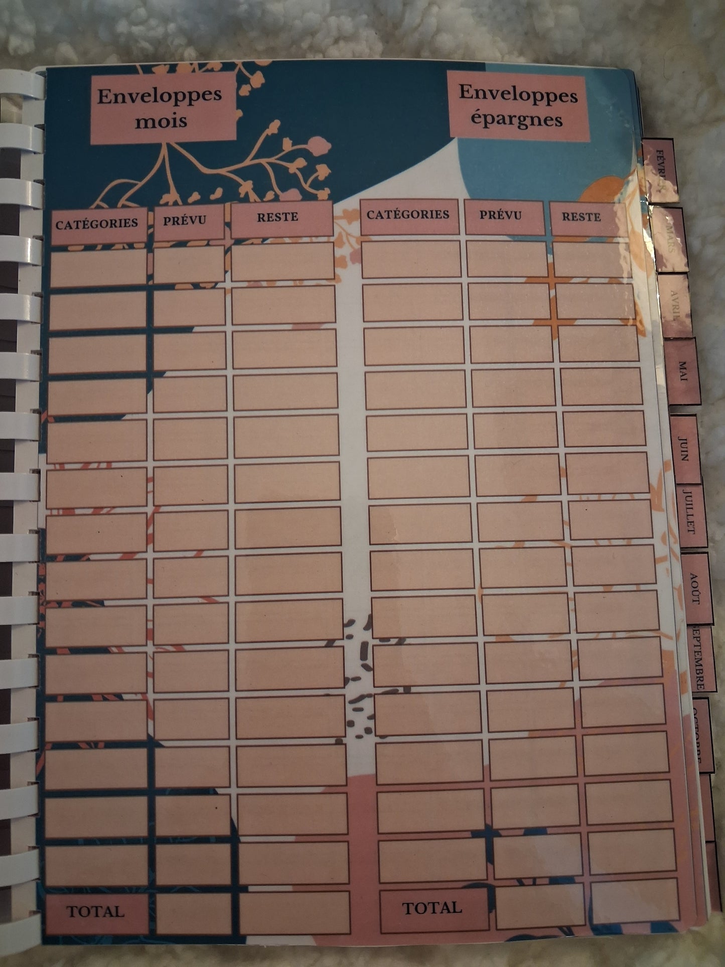 Budget planner de l'année complet , relié