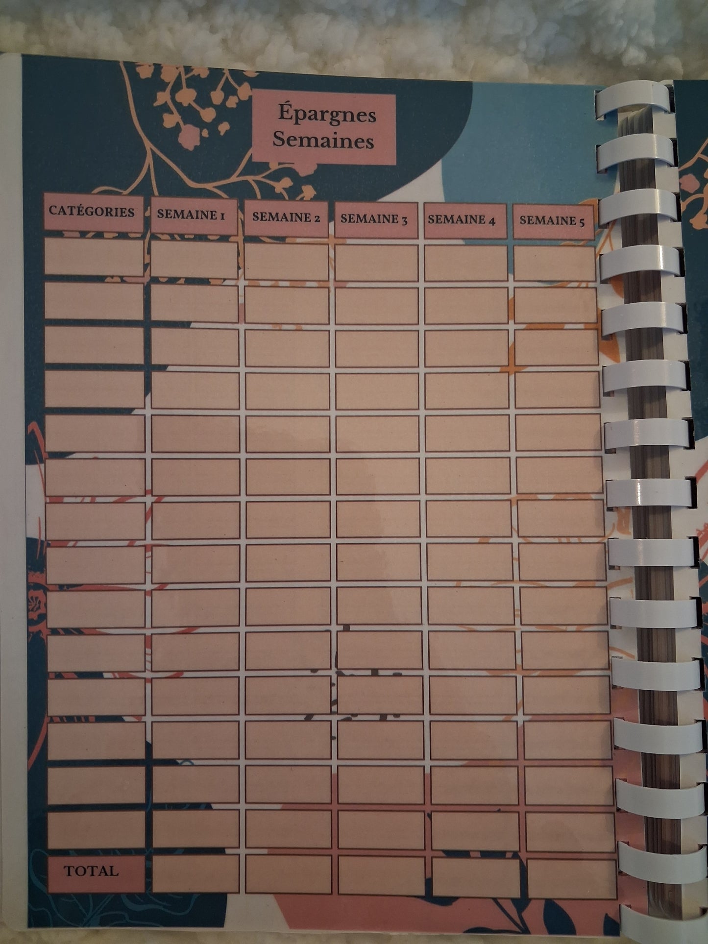 Budget planner de l'année complet , relié