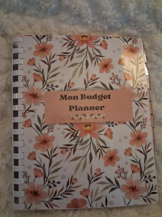 Budget planner de l'année complet, relié